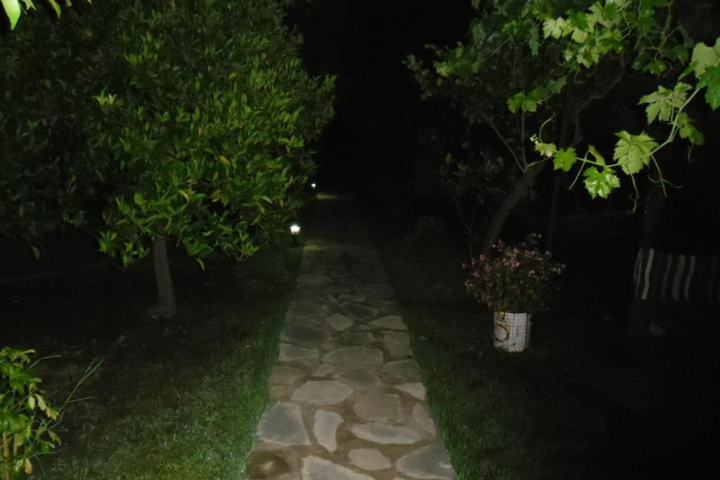 Cesur Pansiyon Ξενοδοχείο Çıralı Εξωτερικό φωτογραφία